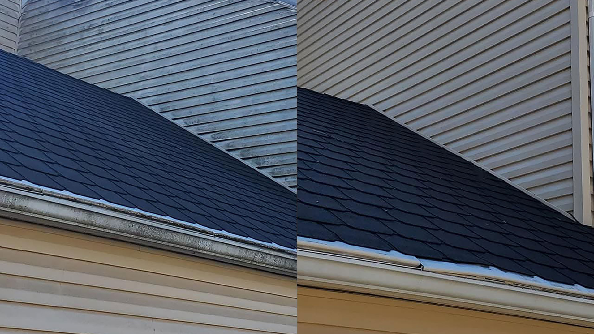 Siding Cleaning