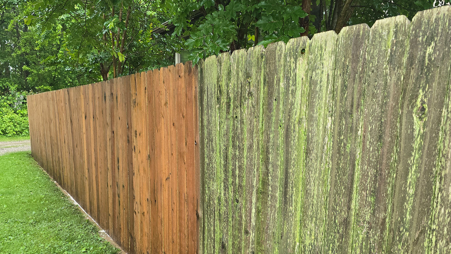 Wood and PVC Fence Cleaning